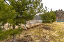 Высокий берег