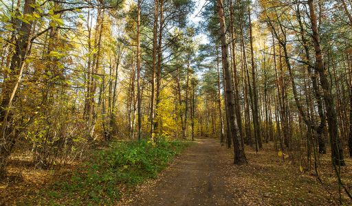 Участок рядом с водой в Витенево