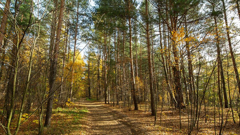 Участок рядом с водой в Витенево
