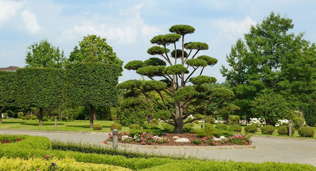 Ренессанс Парк