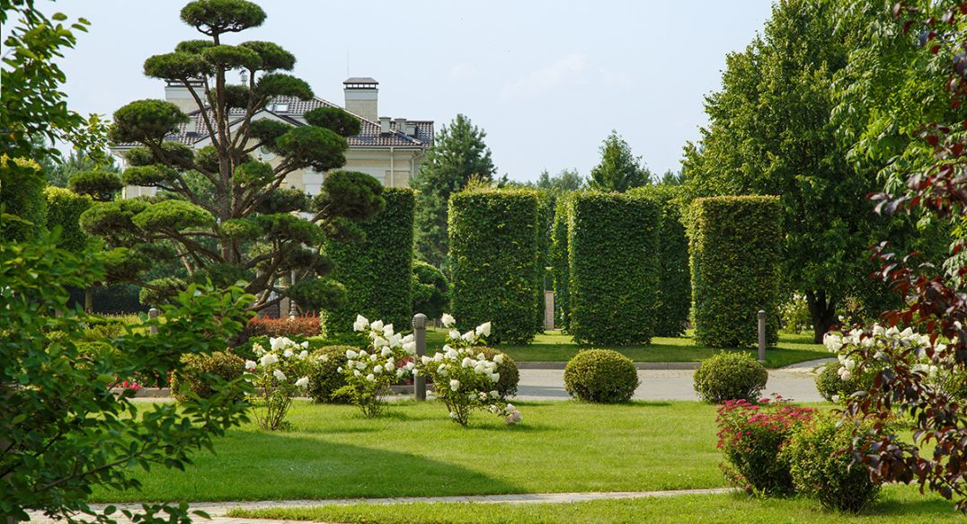 Ренессанс Парк