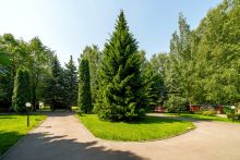 Дом у леса в КП Лазурь
