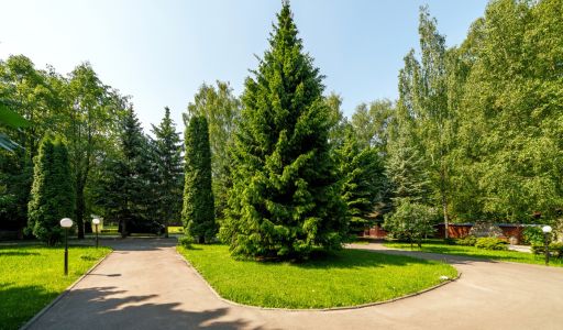 Дом у леса в КП Лазурь
