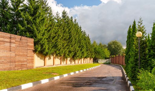 Архангельское-2