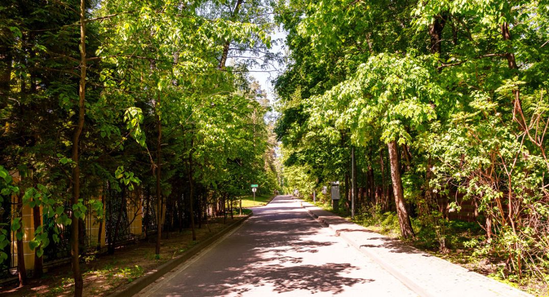 Поселок дачного хозяйства Архангельское