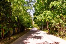 Поселок дачного хозяйства Архангельское