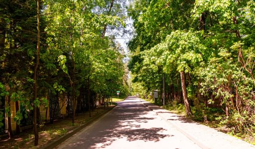 Поселок дачного хозяйства Архангельское