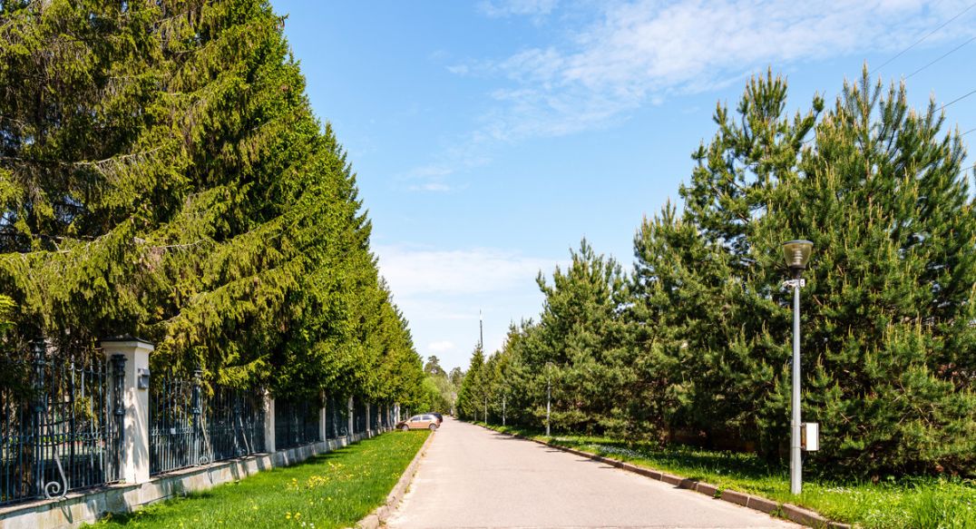 Поселок дачного хозяйства Архангельское