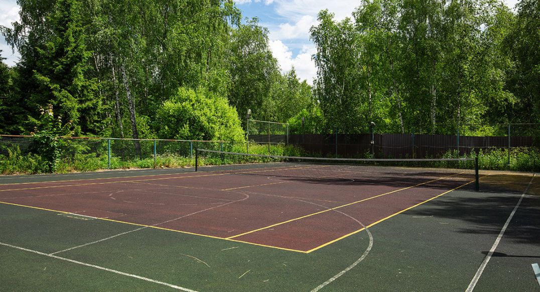 Северная Пальмира