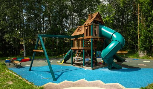 Северная Пальмира