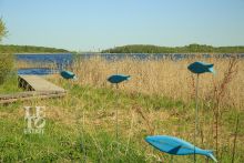 База отдыха на озере Селигер