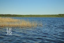 База отдыха на озере Селигер