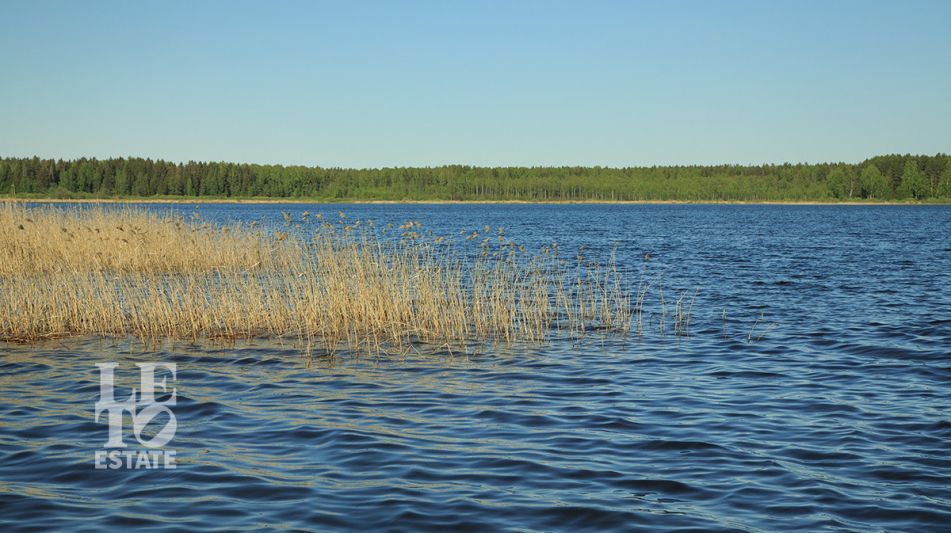 База отдыха на озере Селигер