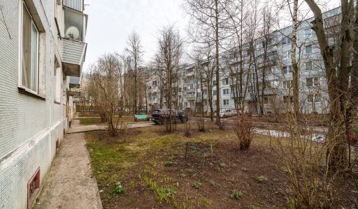 Квартира в Некрасовском