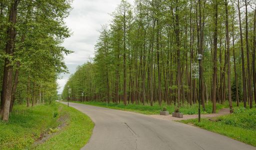 Дом в аренду в КП Пестово