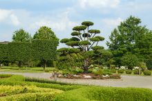 Дом под отделку в Ренессанс Парке