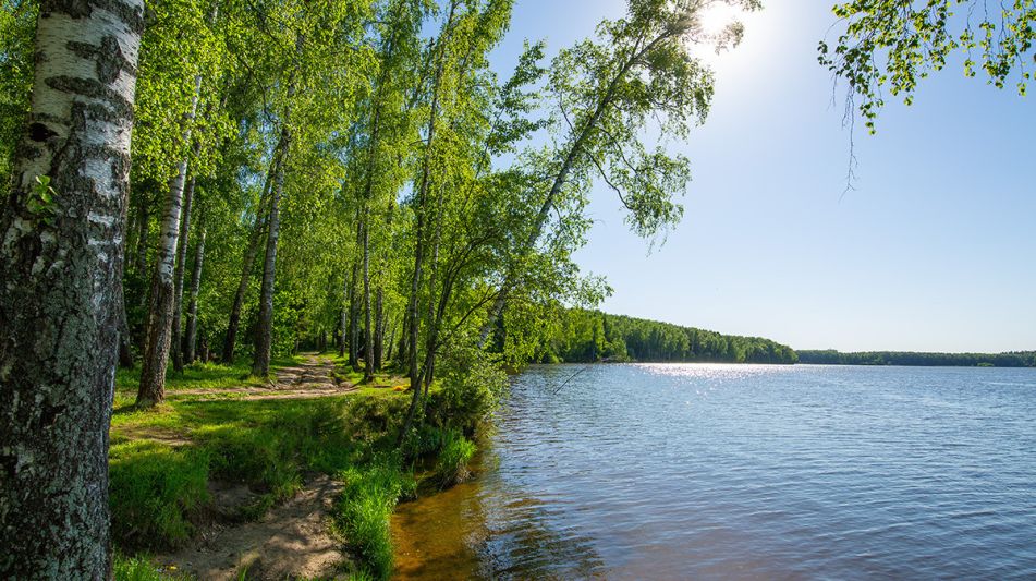 Земельный участок в КП Аврора