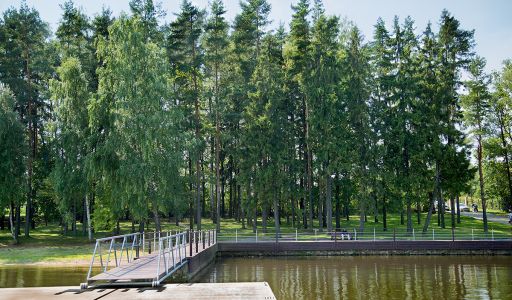 Лесной участок КП Лазурный берег