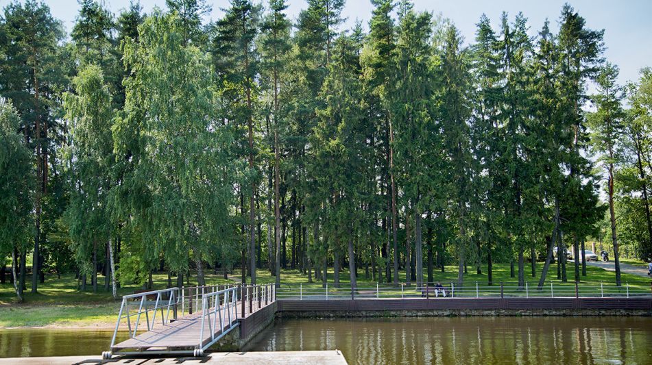 Лесной участок КП Лазурный берег