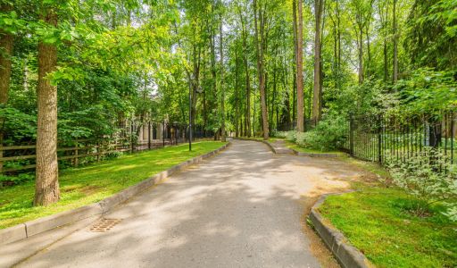 Новолеоново