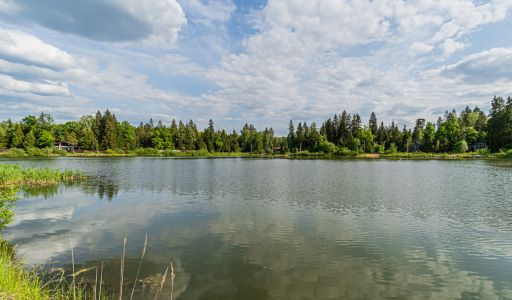 Дубровка