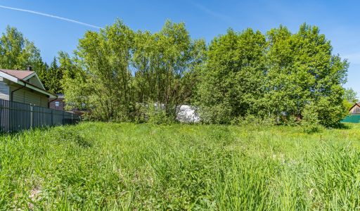 Малое лесное