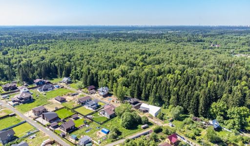 Малое лесное