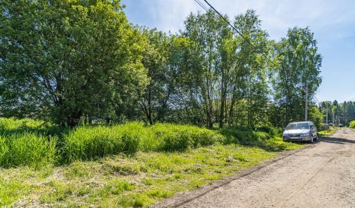 Малое лесное