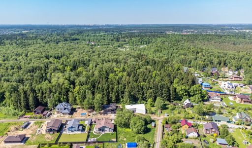 Малое лесное