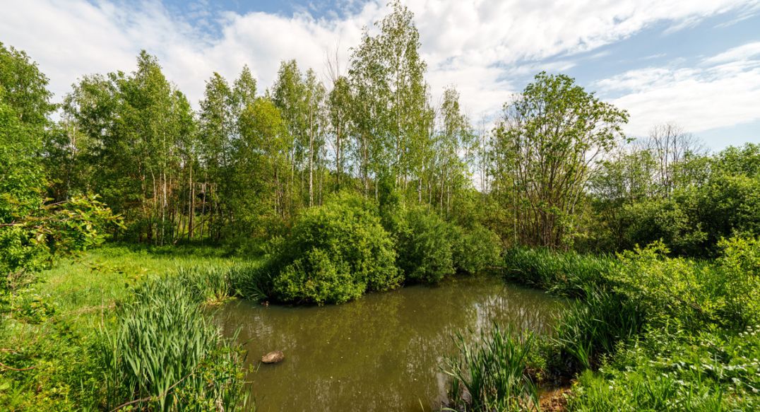 Некрасовский