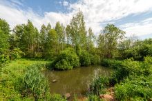 Некрасовский