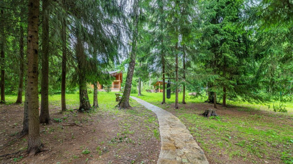 Дом в лесу КП Экран