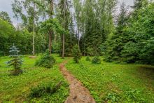 Дом в лесу КП Экран