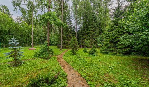 Дом в лесу КП Экран