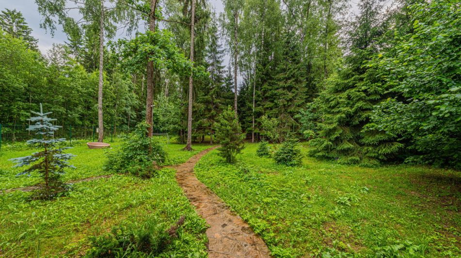 Дом в лесу КП Экран