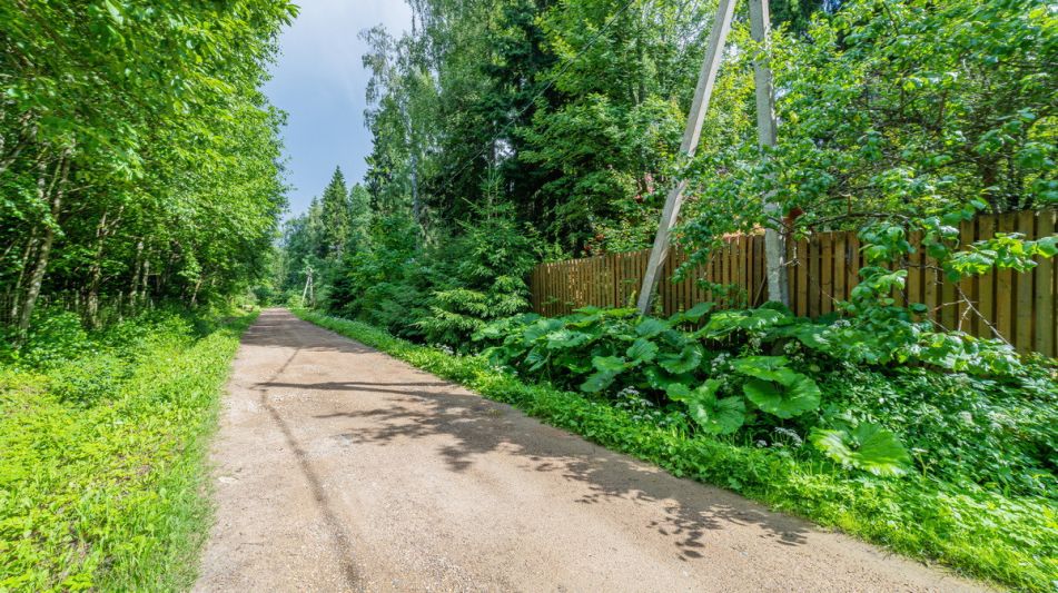 Дом в лесу КП Экран