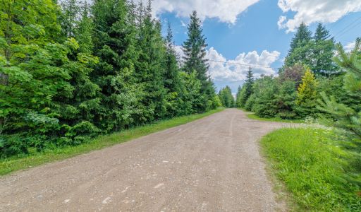 Дом в лесу КП Экран