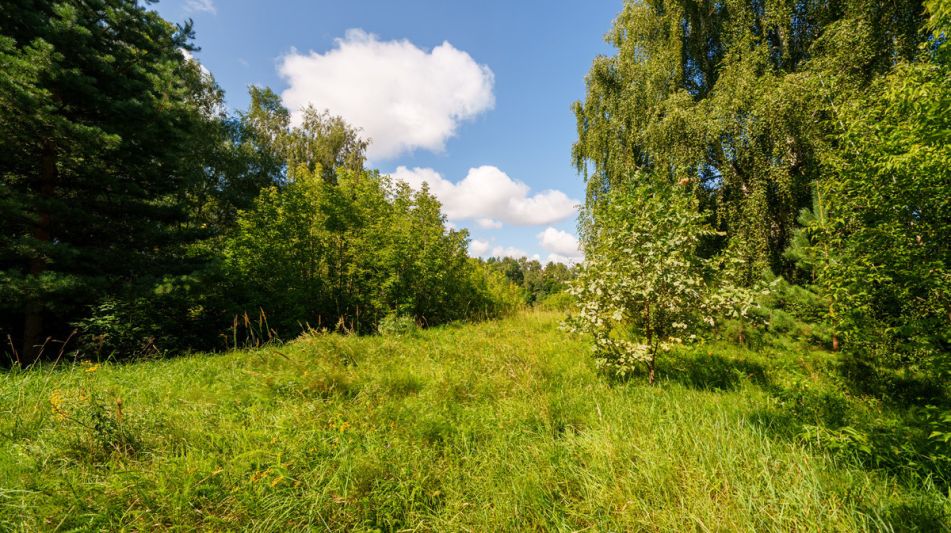 Участок у воды Витенево