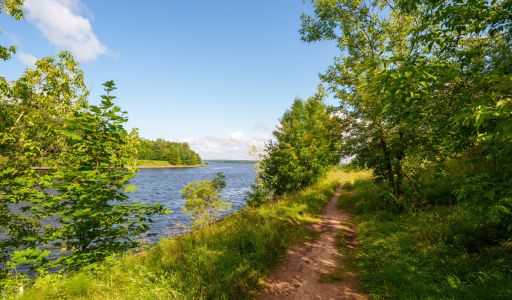 Участок у воды Витенево