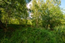 Участок у воды Витенево