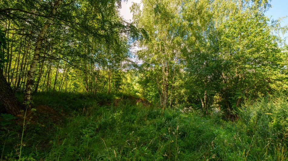 Участок у воды Витенево