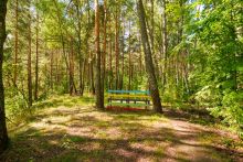 Участок у воды Витенево