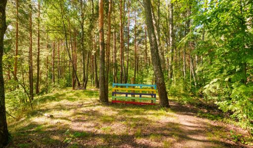 Участок у воды Витенево