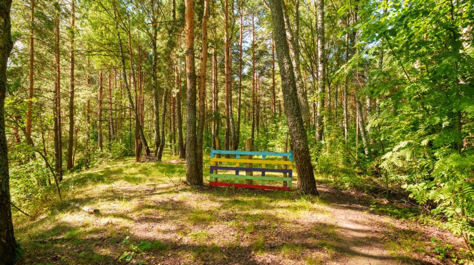 Участок у воды Витенево
