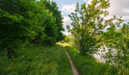 Участок у воды Витенево