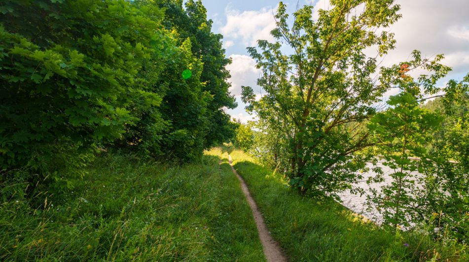 Участок у воды Витенево