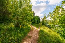 Участок у воды Витенево