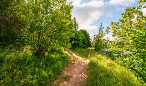 Участок у воды Витенево