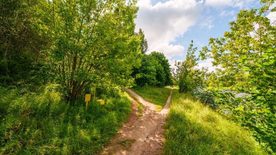 Участок у воды Витенево