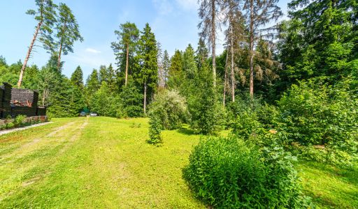 Участок с домом Летчик-Испытатель
